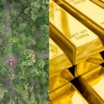Plot Investment vs Gold